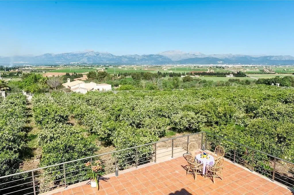 Nyaraló Taronger Villa Muro