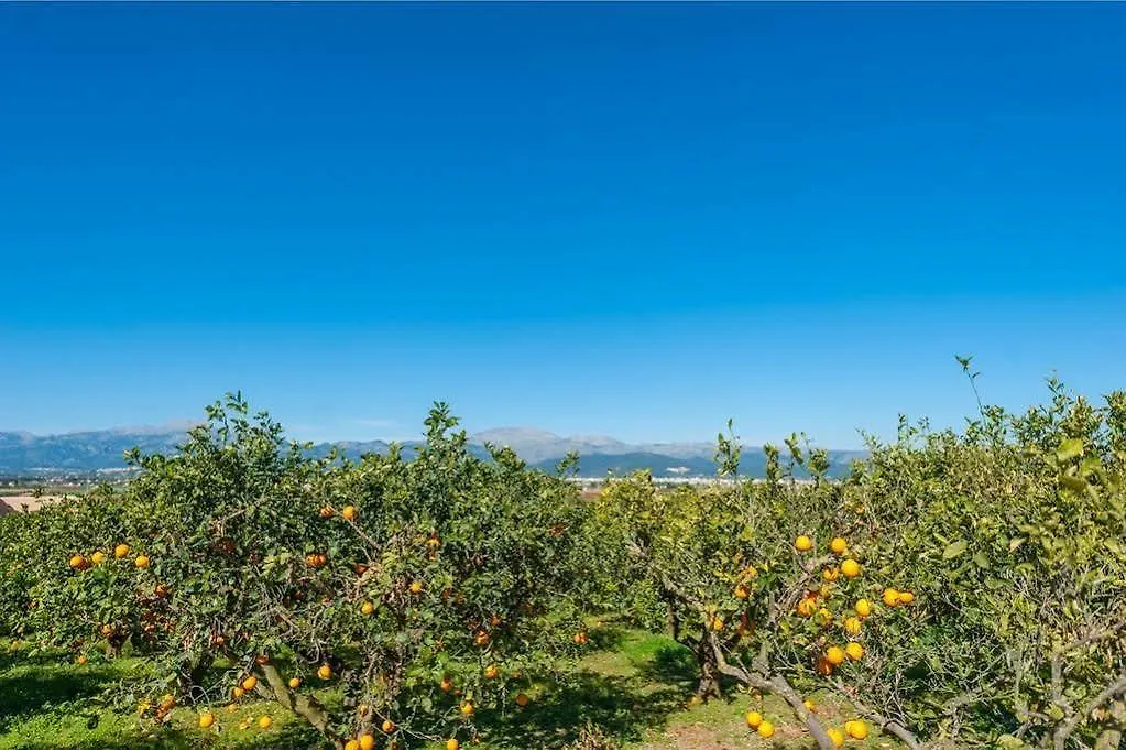 Villa Taronger Muro Сasa de vacaciones